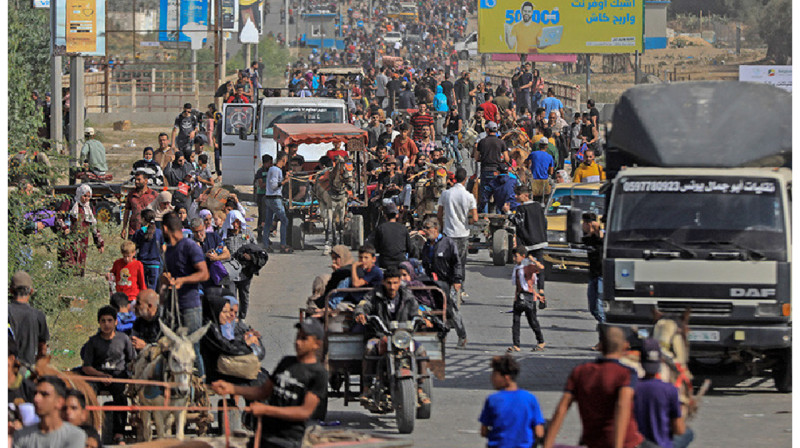 Казахстанцы, покинувшие зону боевых действий, находятся в Египте