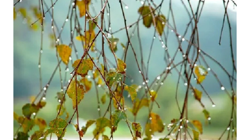 Шквальный ветер и туман накроют половину страны