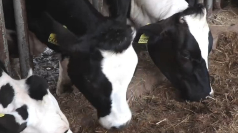 Трое казахстанцев обналичили около миллиарда тенге, выделенные в рамках госпрограммы