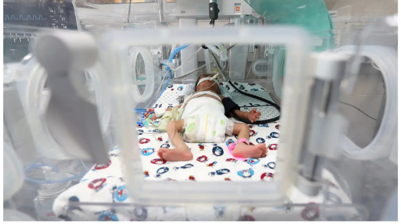 Не менее 30 недоношенных детей эвакуировали из крупнейшей больницы в секторе Газа