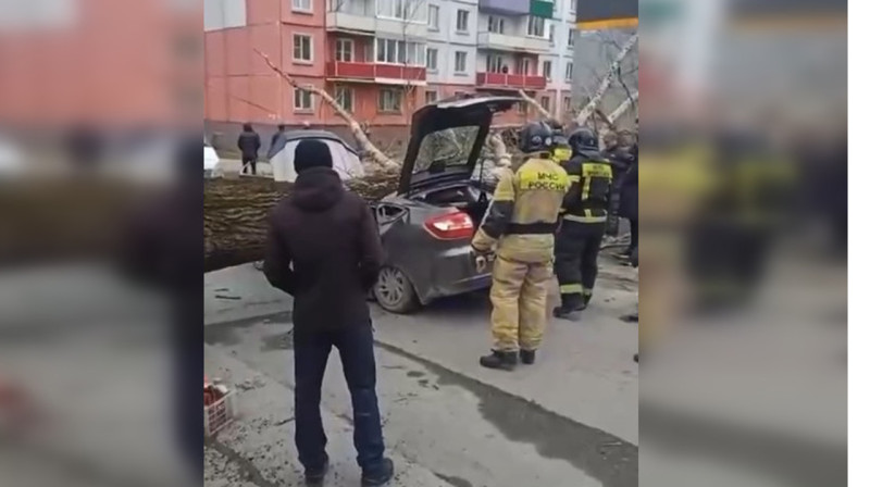 Женщину придавило вывеской, два человека погибли под деревом: Сибирь настиг сильный ветер. ВИДЕО