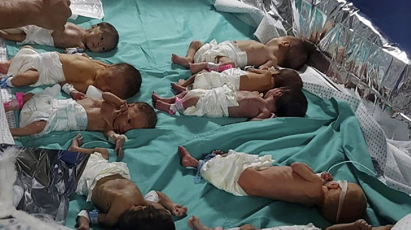 В Египет доставили новорождённых из Газы