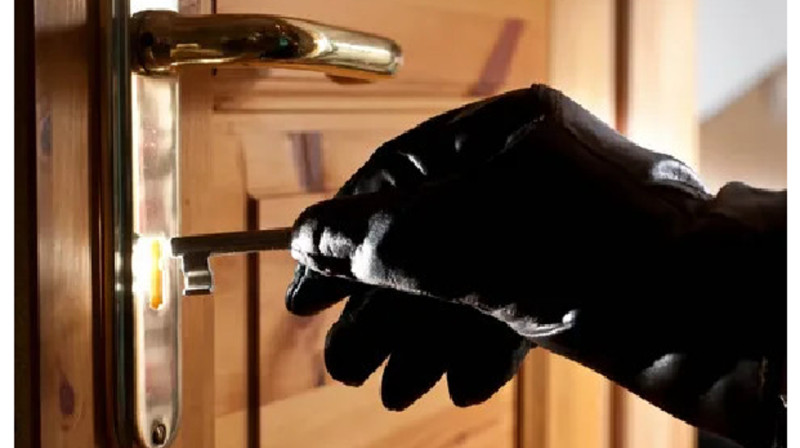Иностранцы занимались квартирными кражами в Алматы (видео)