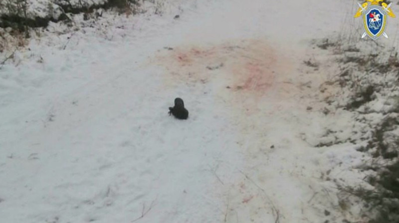 В Иркутской области собаки насмерть  загрызли мужчину