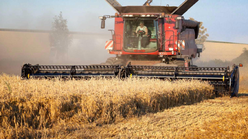 24 млн гектаров: Казахстан завершает уборку сельхозкультур