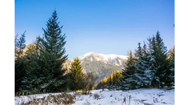 В горах Алматы спасли иностранку, сломавшую ногу