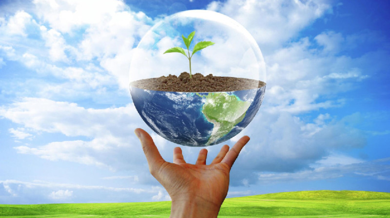 Экологический суд предлагают создать в Казахстане