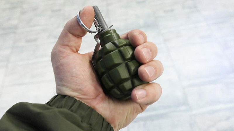 Неизвестные спрятали гранаты в разломе дерева в России