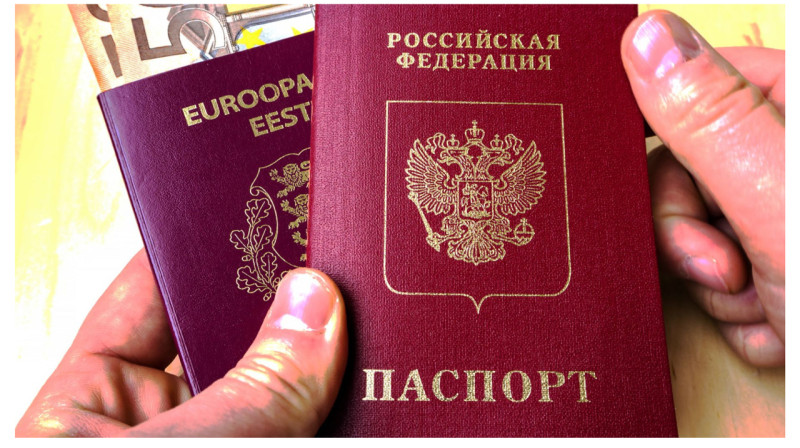 Решивших получить гражданство России планируют депортировать из Эстонии