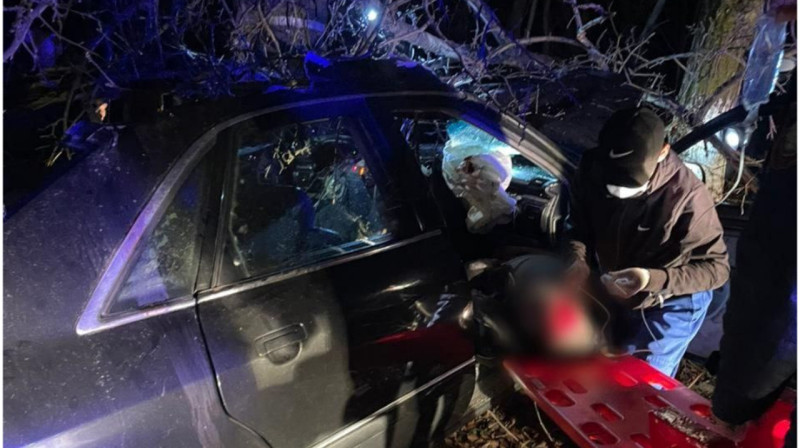 Смертельное ДТП с лошадью произошло в области Жетысу