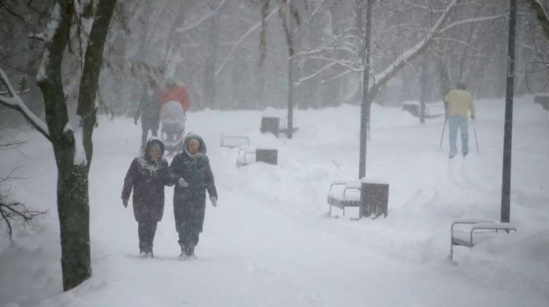 В Москве выпало рекордное количество снега