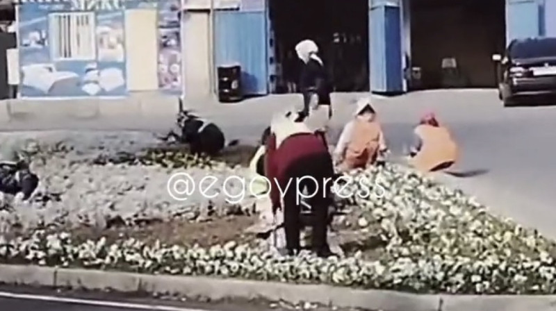 В Шымкенте высаживают цветы на улицах в разгар зимы