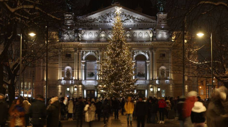 Во Львове зажгли главную елку, которую подарили местные жители
