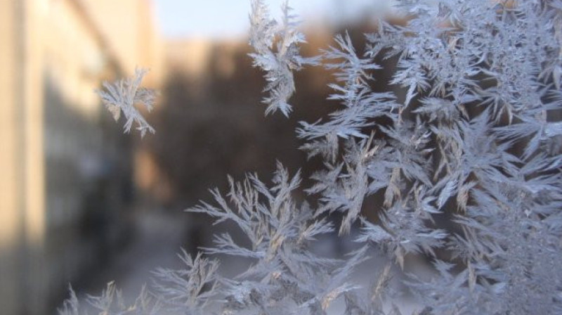 Метель и холод: школьники в нескольких регионах страны перешли на онлайн-обучение