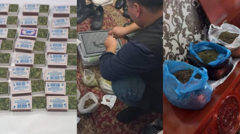 Около 5 кг марихуаны изъяли у религиозного радикала в Туркестанской области