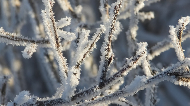 В регионах Казахстана ожидается сохранение холодной погоды