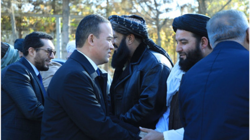 Узбекистан и Афганистан договорились построить "зеленый пояс" вокруг Амударьи