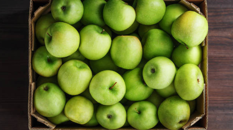 "За 300-400 тыс. тенге можно купить хорошие яблоки" — аким Жетысуской области