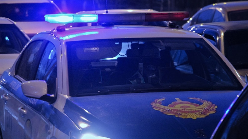 Мужчина напал на полицейского в Алматы (видео)