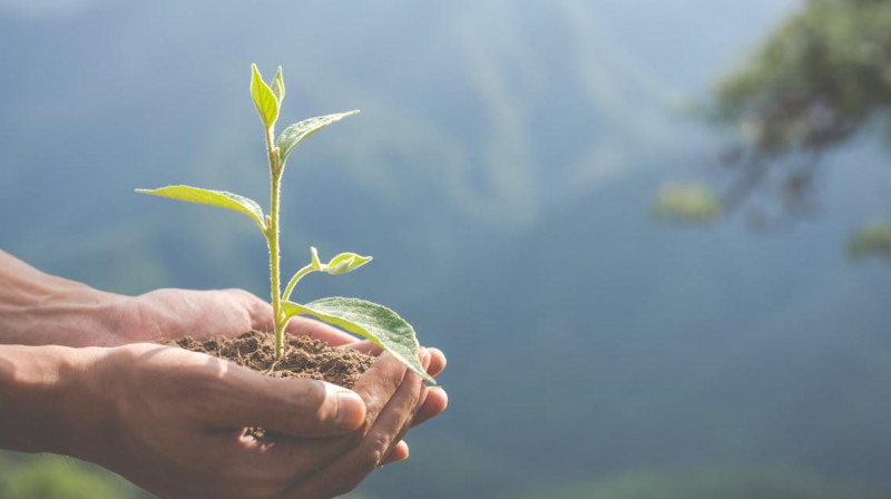  ТОО оштрафовали на 37 млрд тенге в Атырауской области