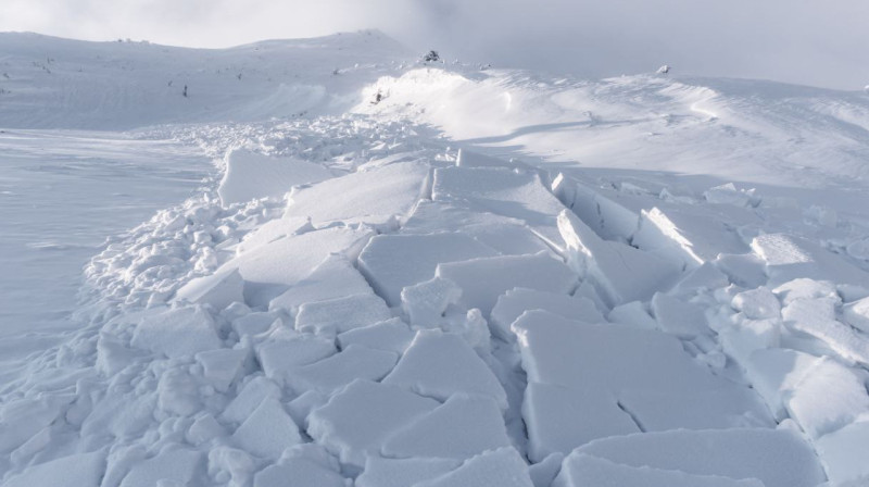 В горах Алматинской области специалисты МЧС вызвали сход лавин