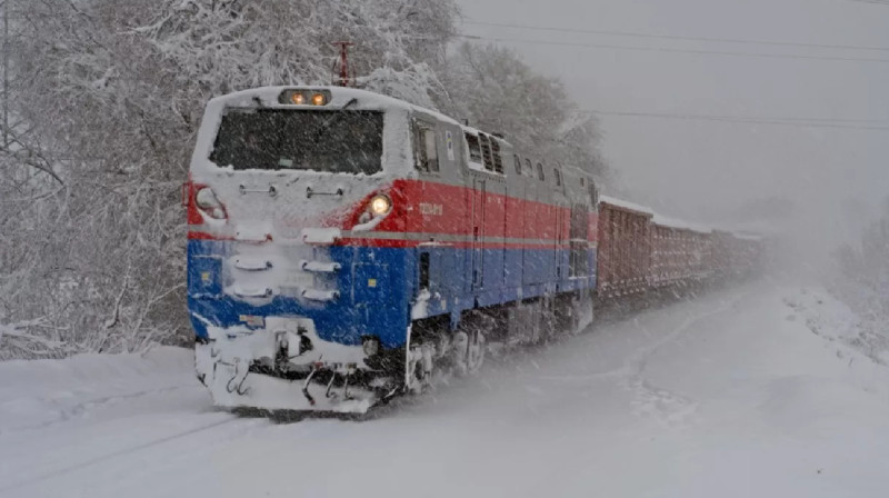 Жители Шу восхитили сердечностью казахстанцев (видео)