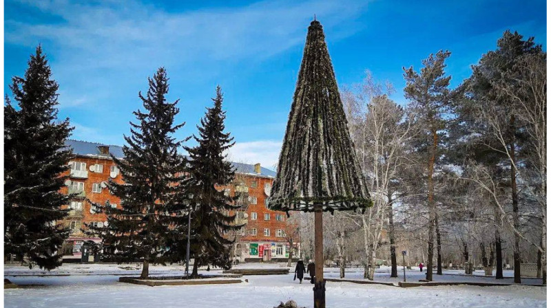 Жители ВКО устроили сбор денег на «нормальную» елку