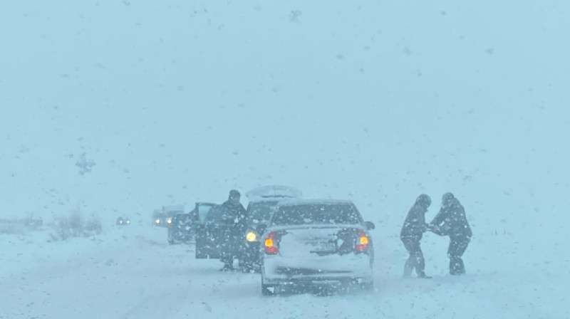 Три блокпоста выставили в Туркестанской области (видео)