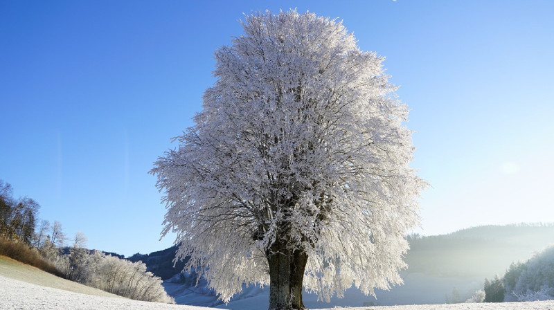 Какая погода ожидается в регионах Казахстана 4 января
