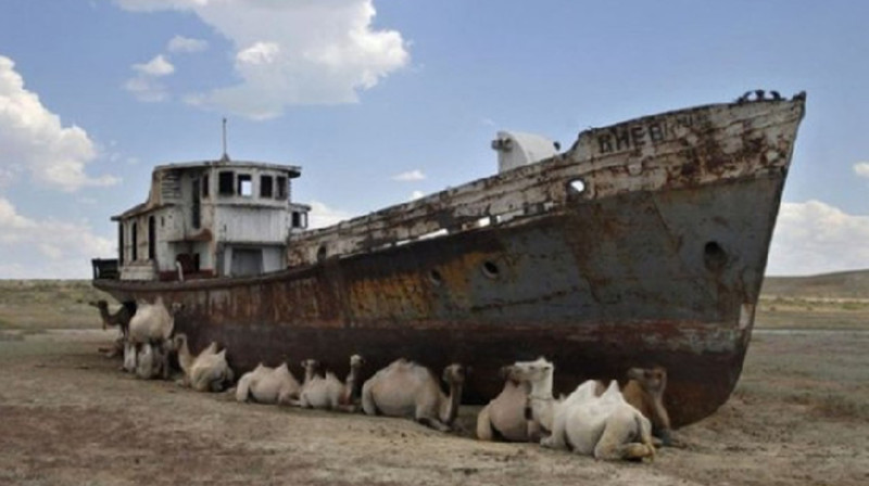 Казахстан возглавил Международный Фонд спасения Арала