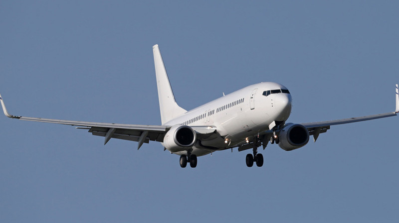 Полеты на лайнерах Boeing 737 приостановили в США