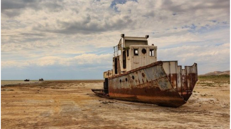 Дно Аральского моря засеют саксаулом в Узбекистане