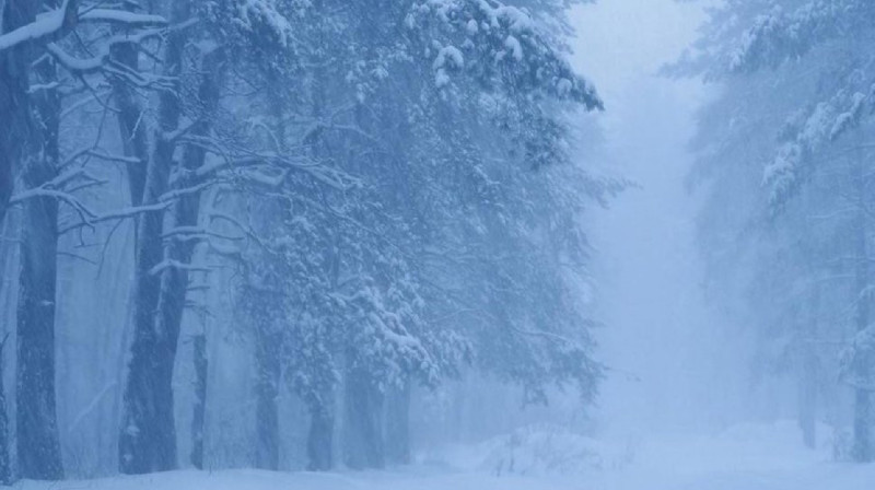 В Павлодарской области из-за непогоды жители 16 сел остались без электроснабжения