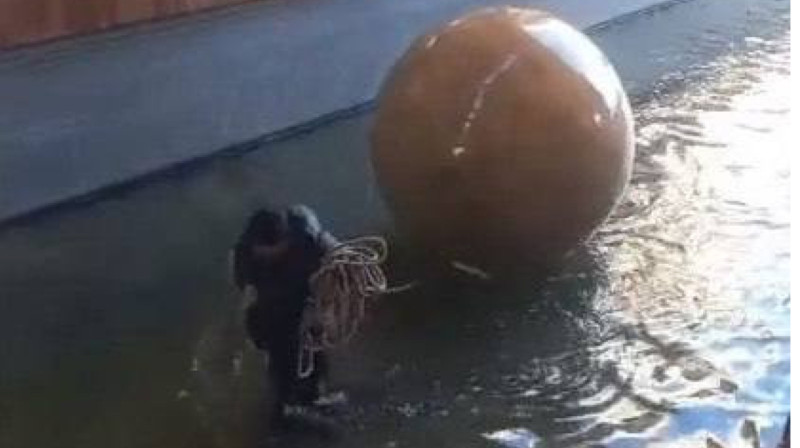 Огромный шар укатился с «Керуен-Сарай» в Туркестане