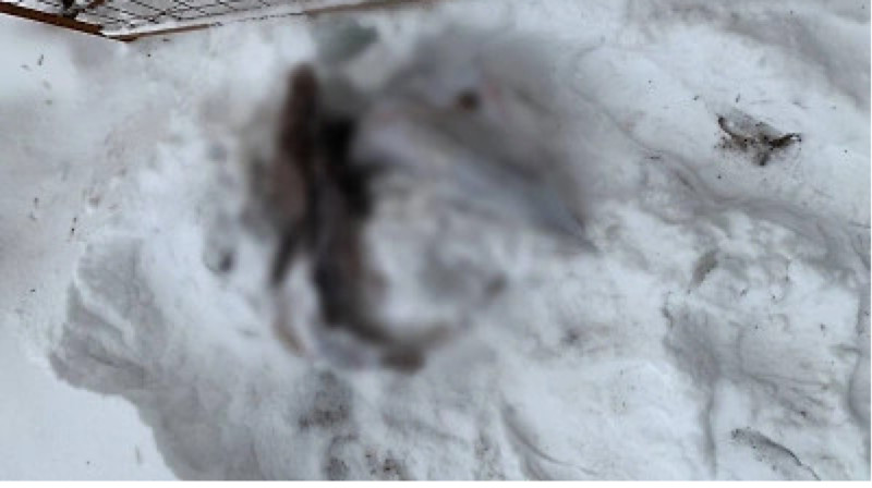 Стройка здания. Поиск строек. Стройка здания. Поиск строек. Геодезический контроль в строительстве.