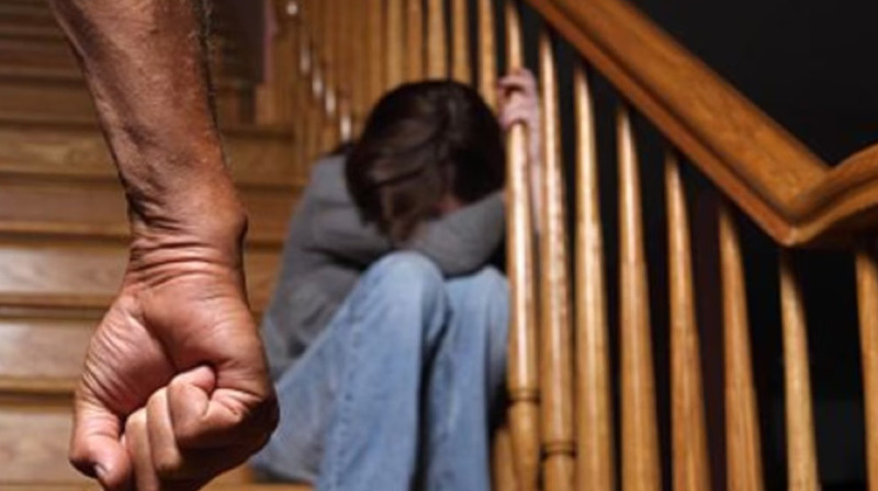 В Астане начнут работать с домашними дебоширами