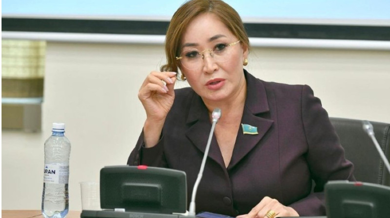 Каракат Абден прокомментировала хакерскую атаку на журналиста Асхата Ниязова