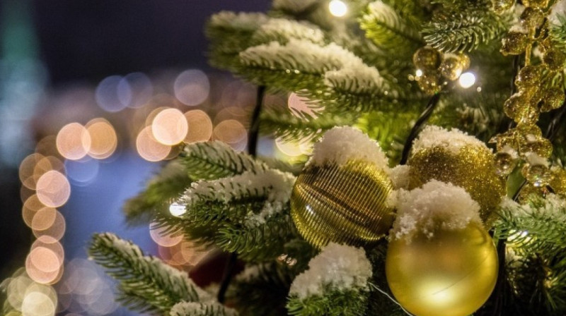 Депутат предложил перенести празднование Нового года