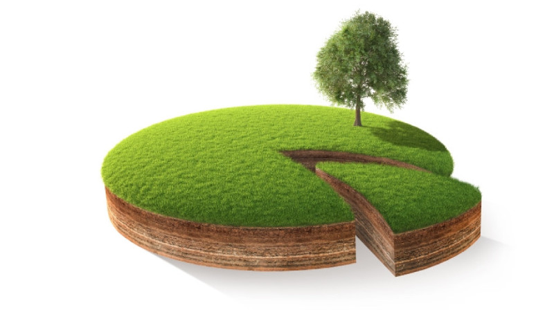 В ЗКО осудили чиновника за незаконную передачу земельных участков