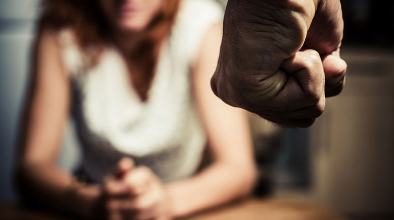 400 домашних дебоширов привлекли к ответственности в Жамбылской области