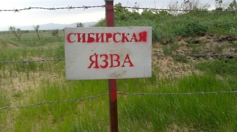 565 очагов сибирской язвы выявили в Кыргызстане
