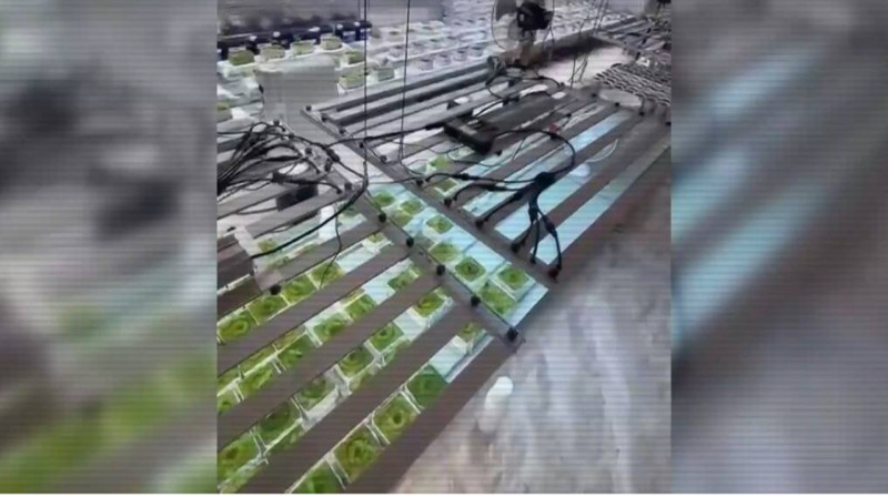 Иностранцы организовали нарколаборатории в Алматинской области