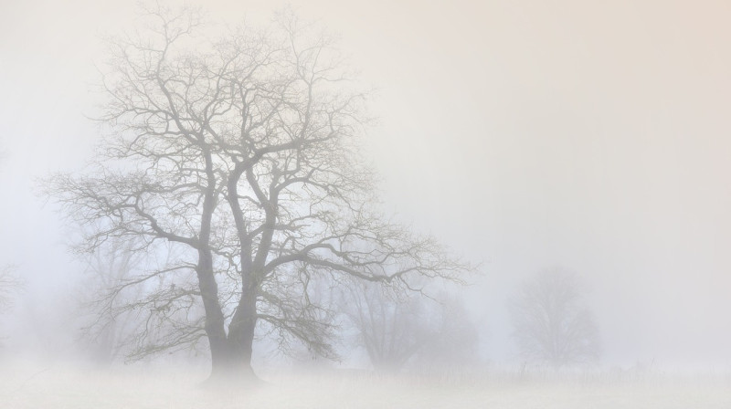 В 11 областях Казахстана объявили штормовое предупреждение