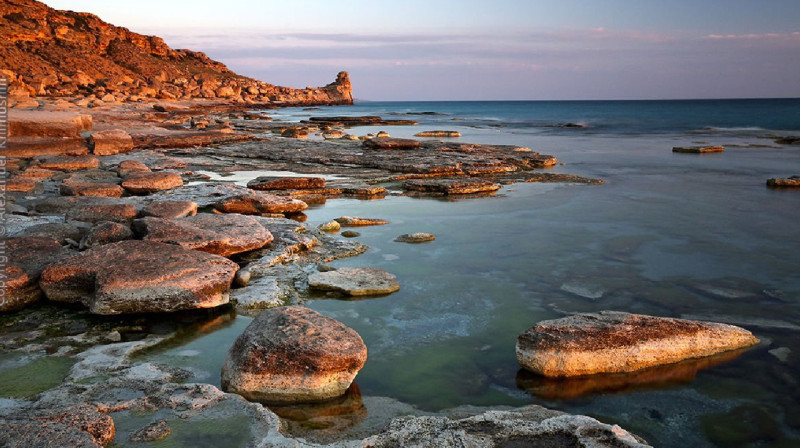 В правительстве Казахстана подтвердили создание НИИ Каспийского моря