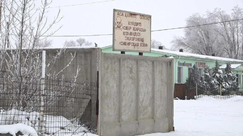 Заразиться сибирской язвой рискуют жители Алматинской области