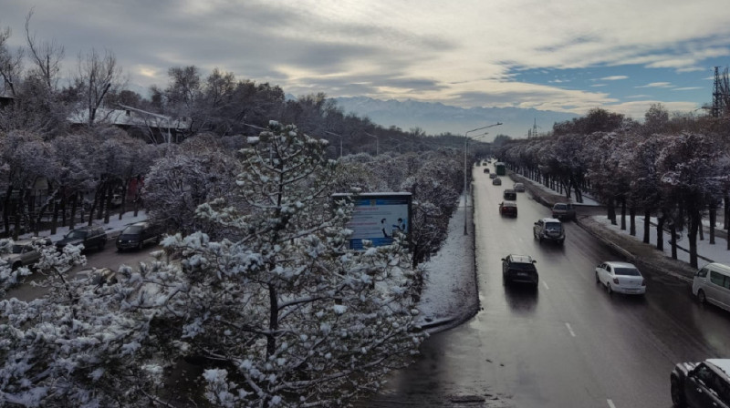 Алматы застелило 10-сантиметровым снежным покровом за одну ночь