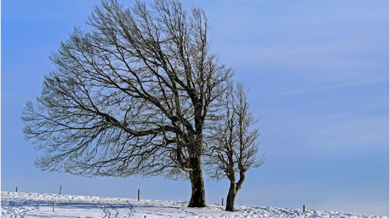 Штормовое предупреждение объявили в большинстве областей Казахстана