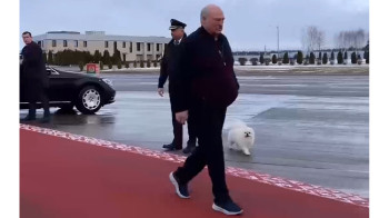 Лукашенко прилетел в Ташкент с Умкой. Видео
