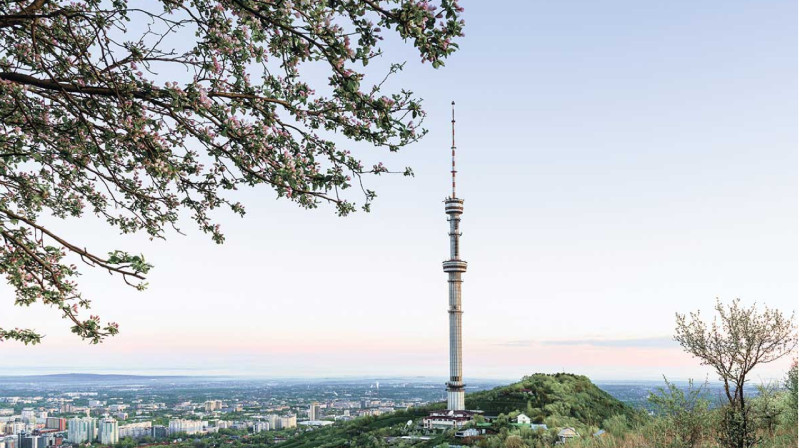 У телебашни «Кок Тобе» появится архитектурная подсветка