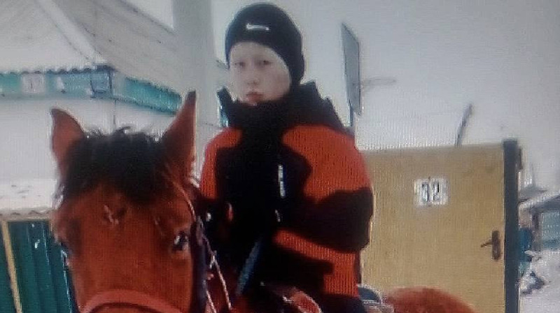 Восьмилетний мальчик пропал в буран во время поиска скота в Абайской области
